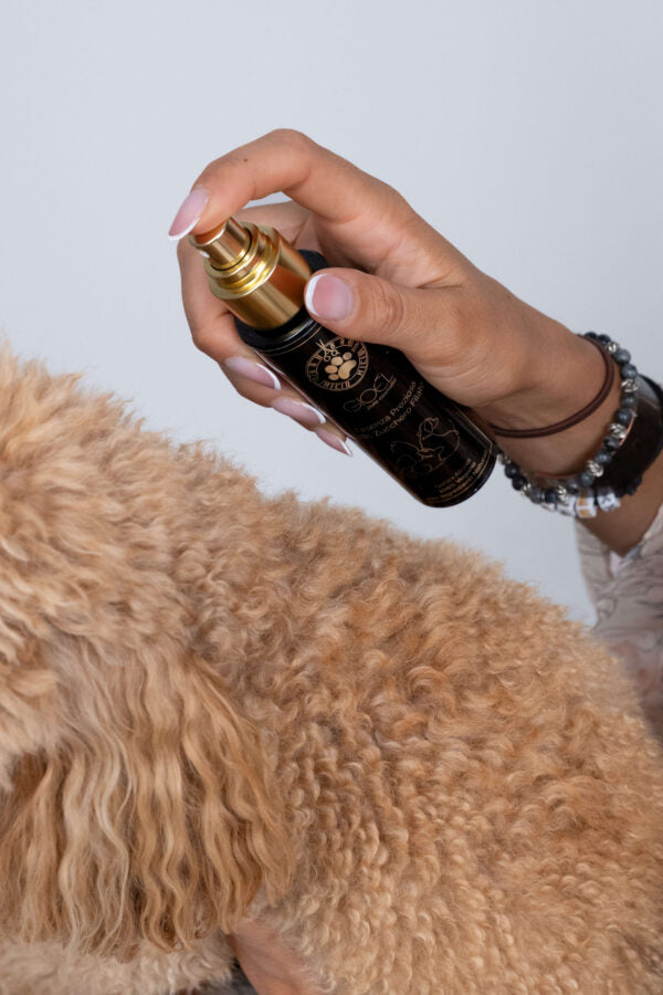 ESSENZA PREZIOSA ALLO ZUCCHERO FILATO