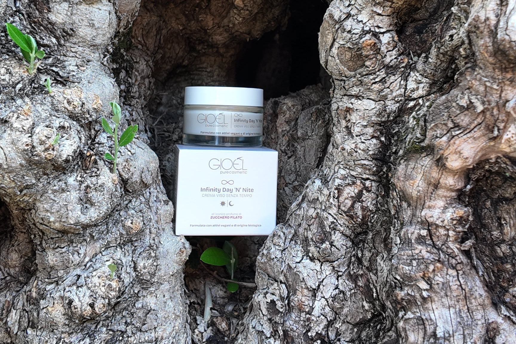 Infinity Day 'N' Nite – Crema Viso Senza Tempo